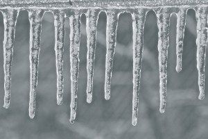 Icicles on my potting bench