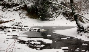 Mount Talbert Nature Park