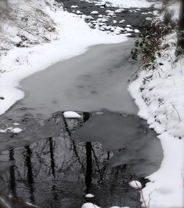 Mount Talbert Nature Park