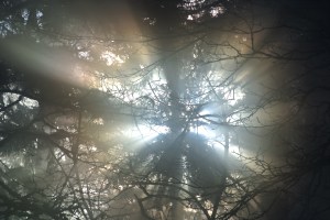 Sunrise in my backyard