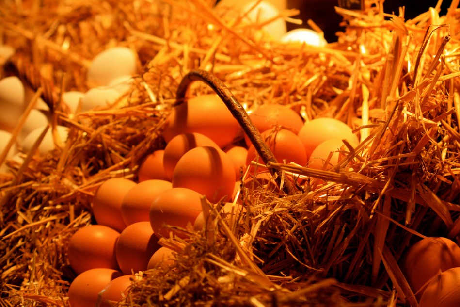 I loved how foods were displayed. So much nicer than a cardboard box!