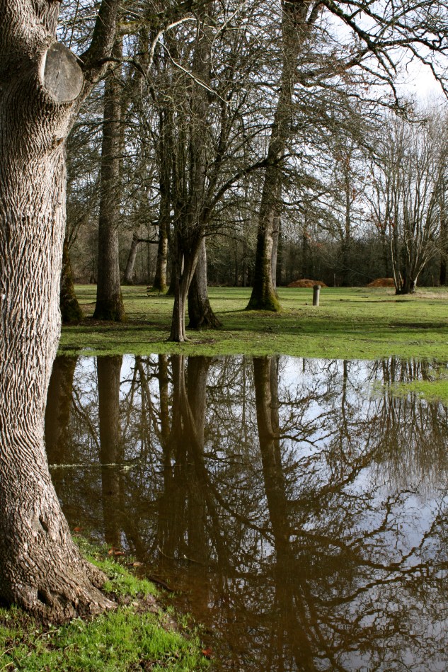 Oak Meadow, Portland, Oregon