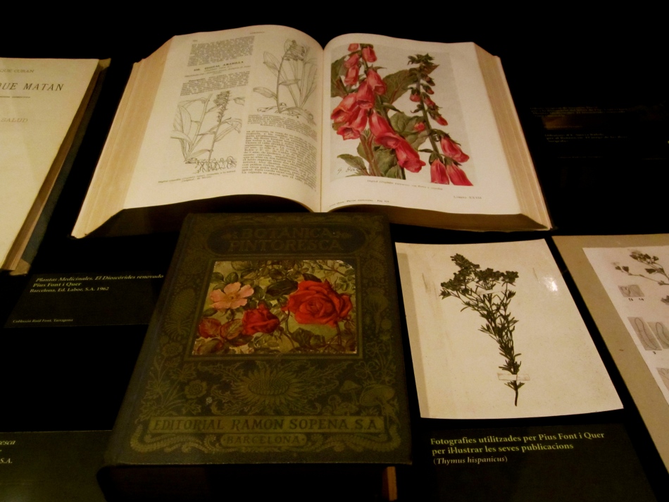 Ancient records on medicinal plants.
