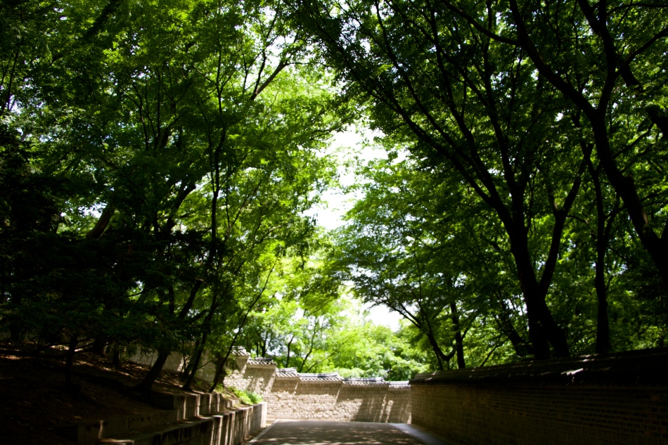 Road to the forbidden garden, Seoul, South Korea.