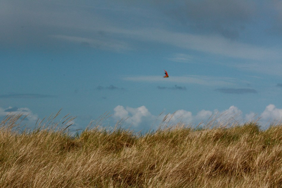 Flying a kite on the beach.